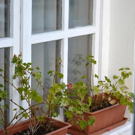 Valentin Haz Szentendre