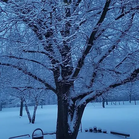 Гостевой дом Valentin Haz 3*