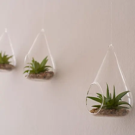 Valentin Haz Гостевой дом 3*