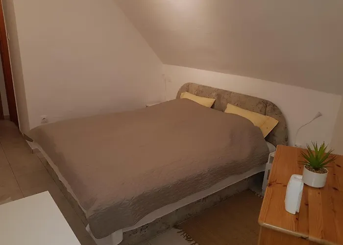 בית הארחה Valentin Haz