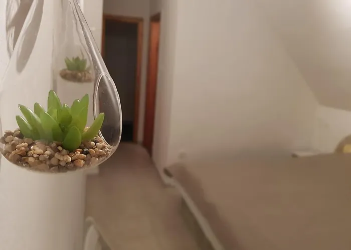 Valentin Haz בית הארחה 3*